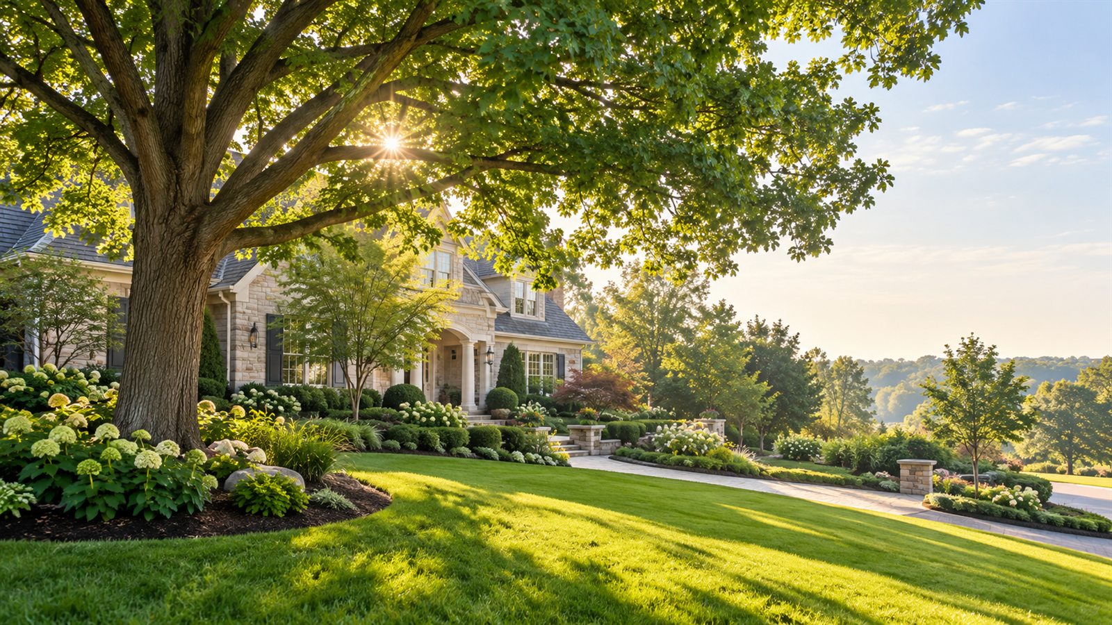 Healthy mature tree and landscaped Maryland home